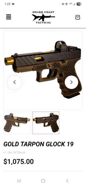 Glock 19