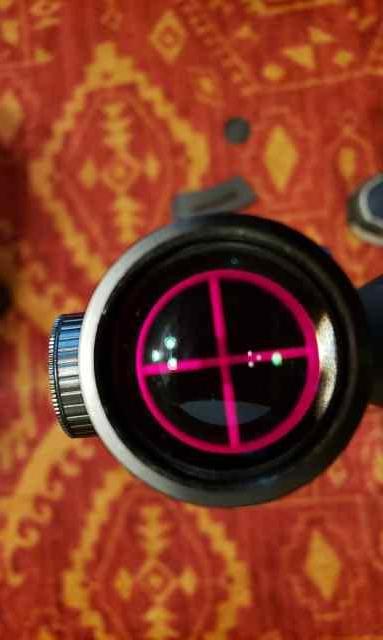 20250624_095753.jpg