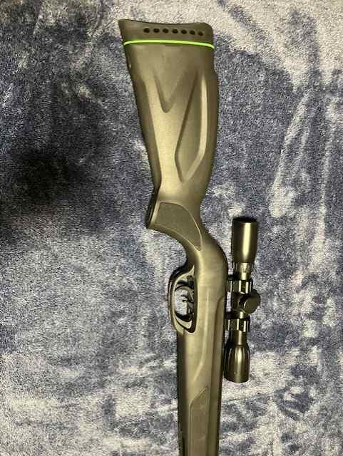 Gamo Wildcat Whisper 22cal