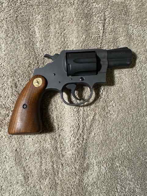COLT @2.jpg