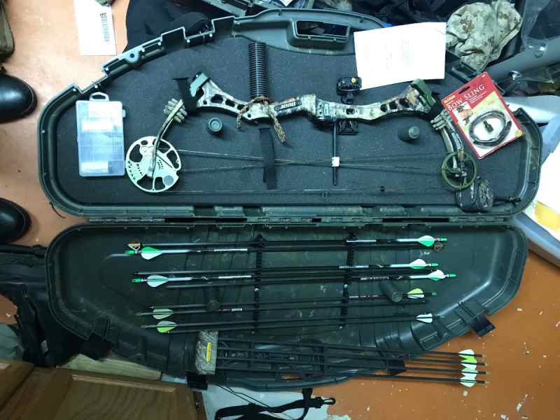 Bear Charge Compound Bow