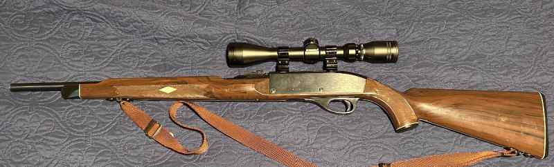 Remington Nylon 66 .22lr w/Bushnell scope
