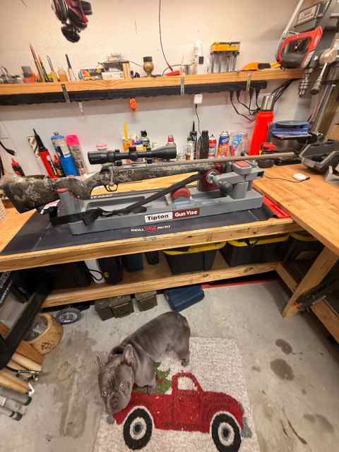 Winchester XPR 30-06