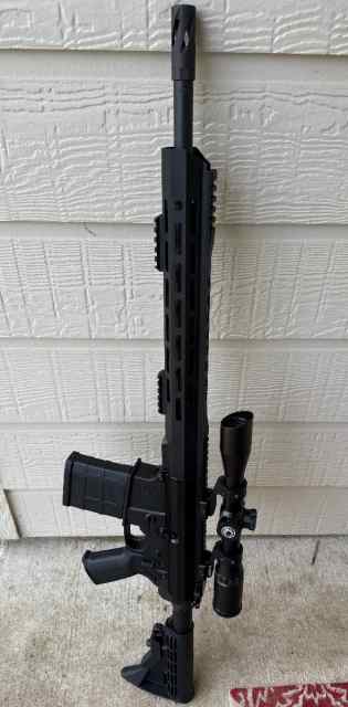 AR-10
