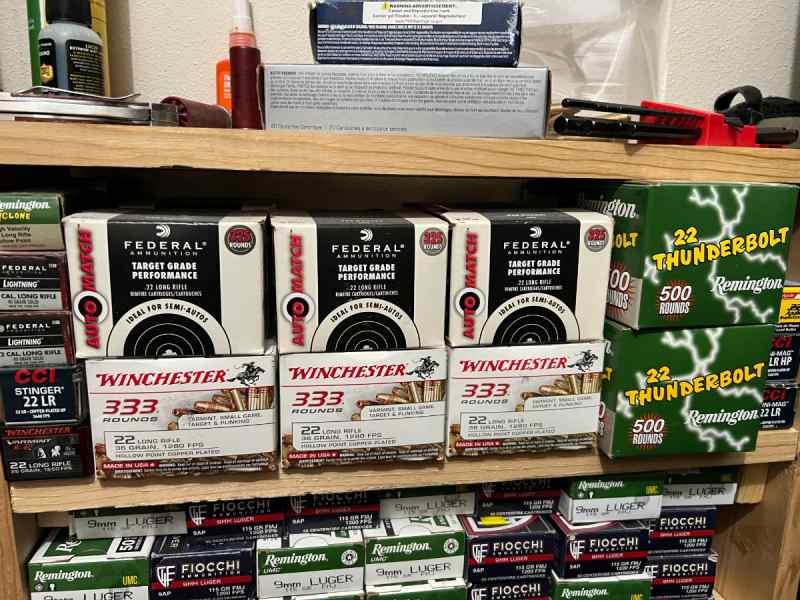 22LR Ammo 