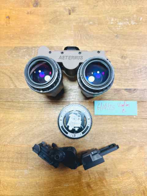 LLI Aeternus NV Goggles $3100
