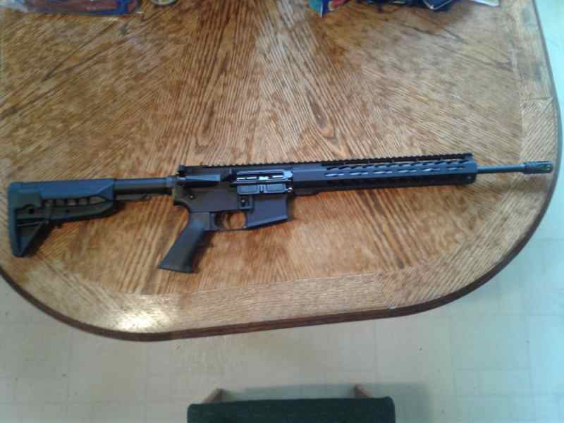 AR 15 NEW