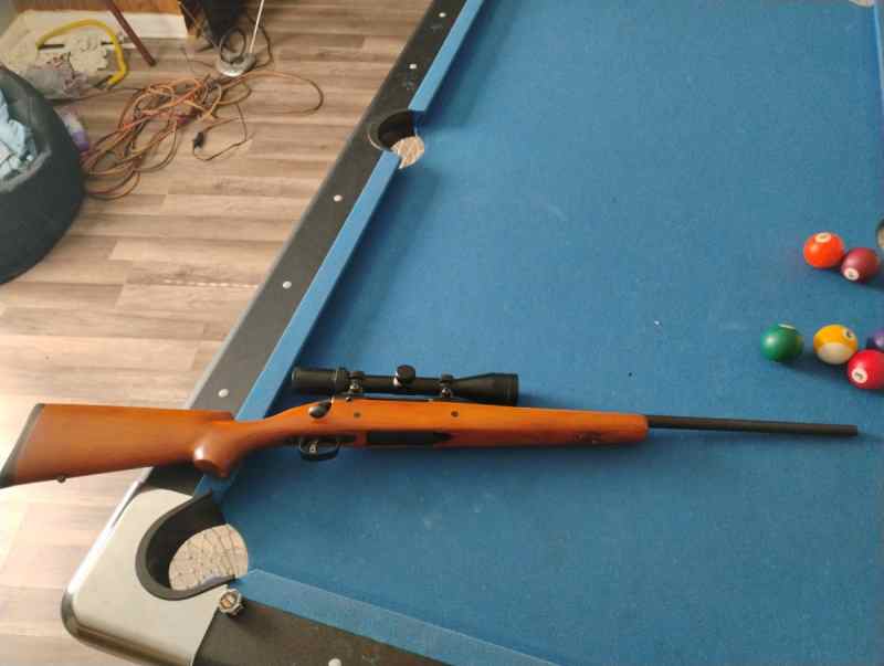 Savage arms .308
