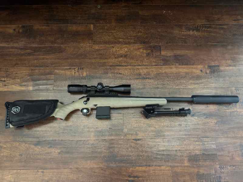 Ruger 300 blackout 