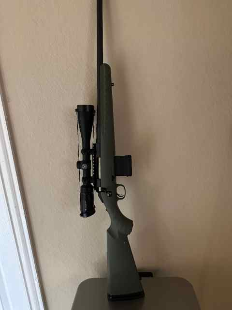 Ruger predator 223