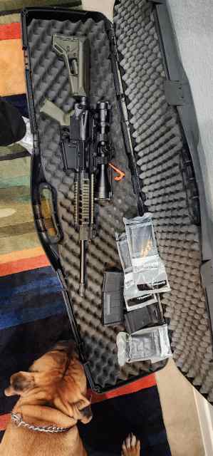Sig Patrol 716 w/New Viper PST Scope 7.62x54