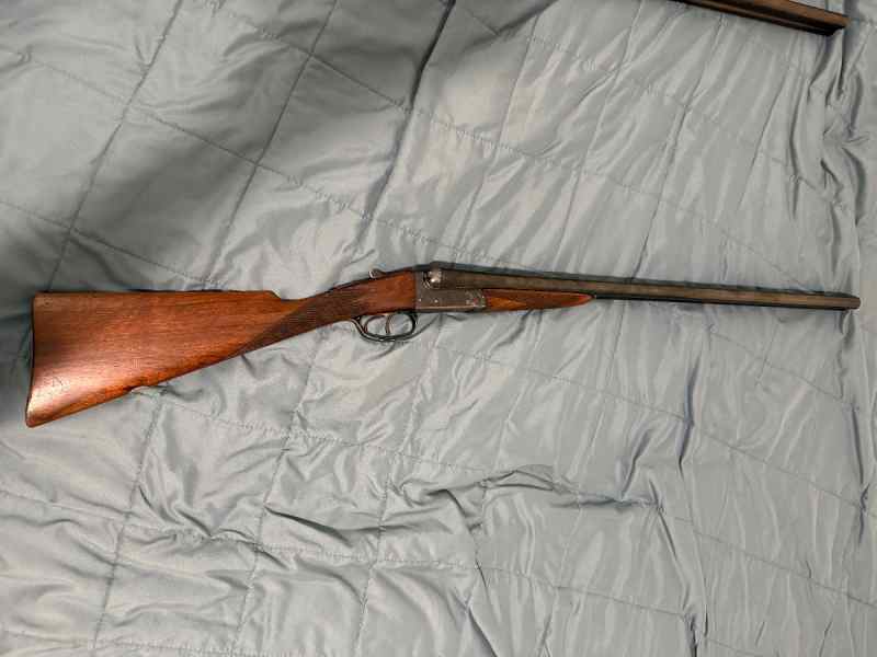 BSA 12 GA SxS ENGRAVED 