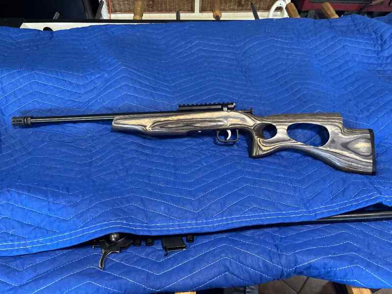 cricket 22LR youth competition rifle 